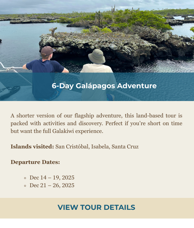 6 Day Tour